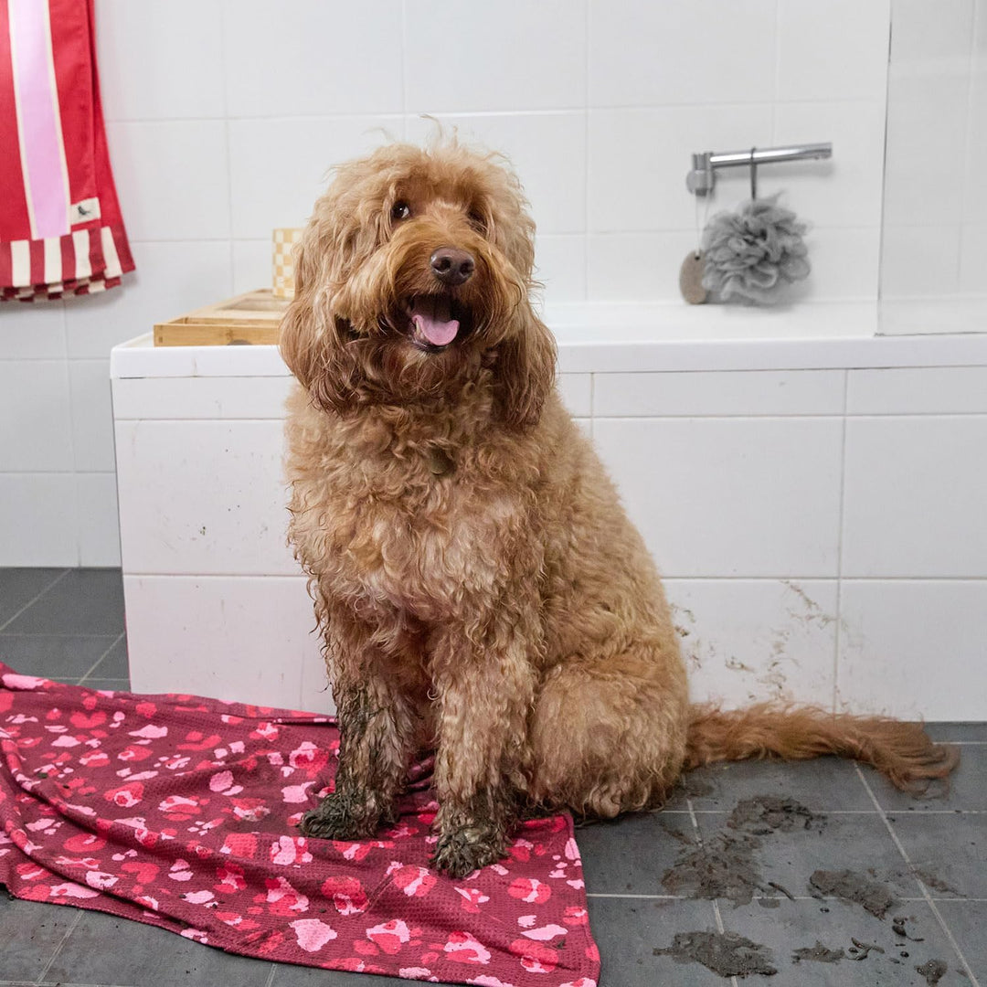 Dock & Bay Hundehandtuch - Besonders saugfähig und schnell trocknendes Handtuch mit Tragetasche - 10