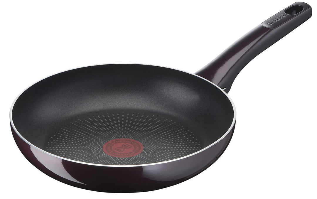 Tefal D52202 Resist Intense Bratpfanne 20 cm | Antihaftversiegelung | Flame Protect | widerstandsfäh