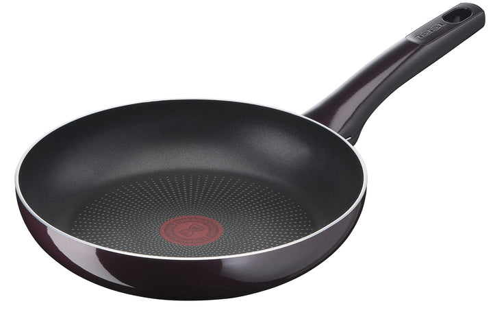 Tefal D52202 Resist Intense Bratpfanne 20 cm | Antihaftversiegelung | Flame Protect | widerstandsfäh