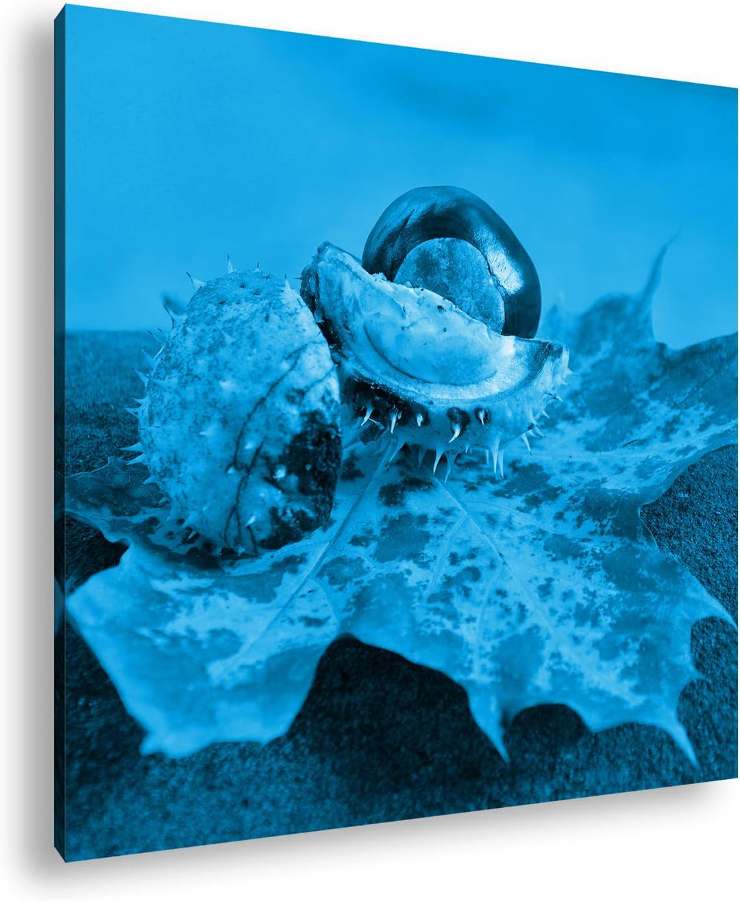 deyoli Lechtende Kastanien Format: 60x60 Effekt: Zeichnung als Leinwandbild, Motiv auf Echtholzrahme