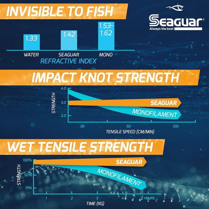 Seaguar Invizx Fluorocarbon Angelschnur 4lbs/200yds, 4lbs/200yds