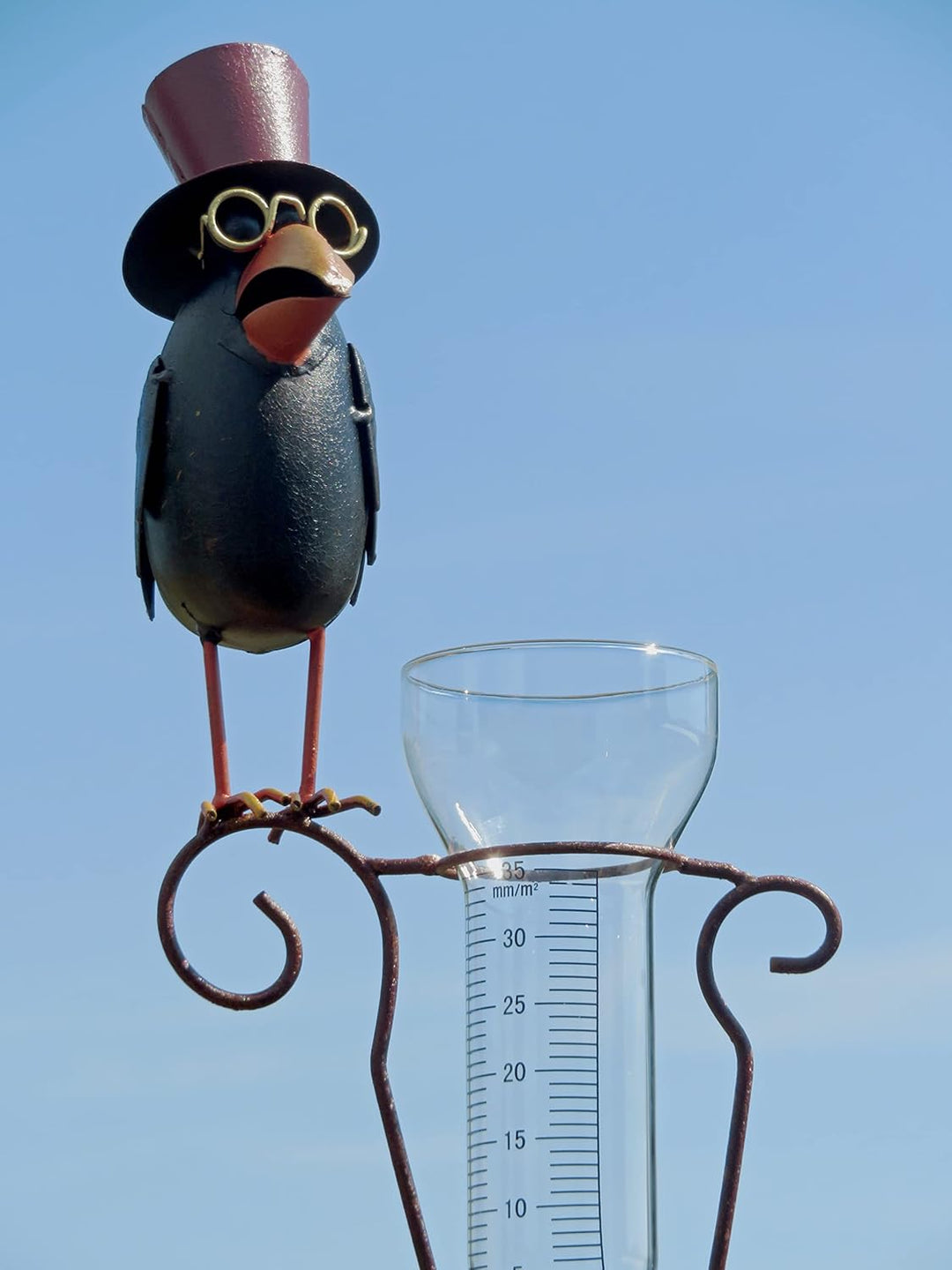 Pommerntraum ® | Regenmesser Pluviometer Niederschlagsmesser Herr Prof. Dr. Rabe verrückter Vogel mi