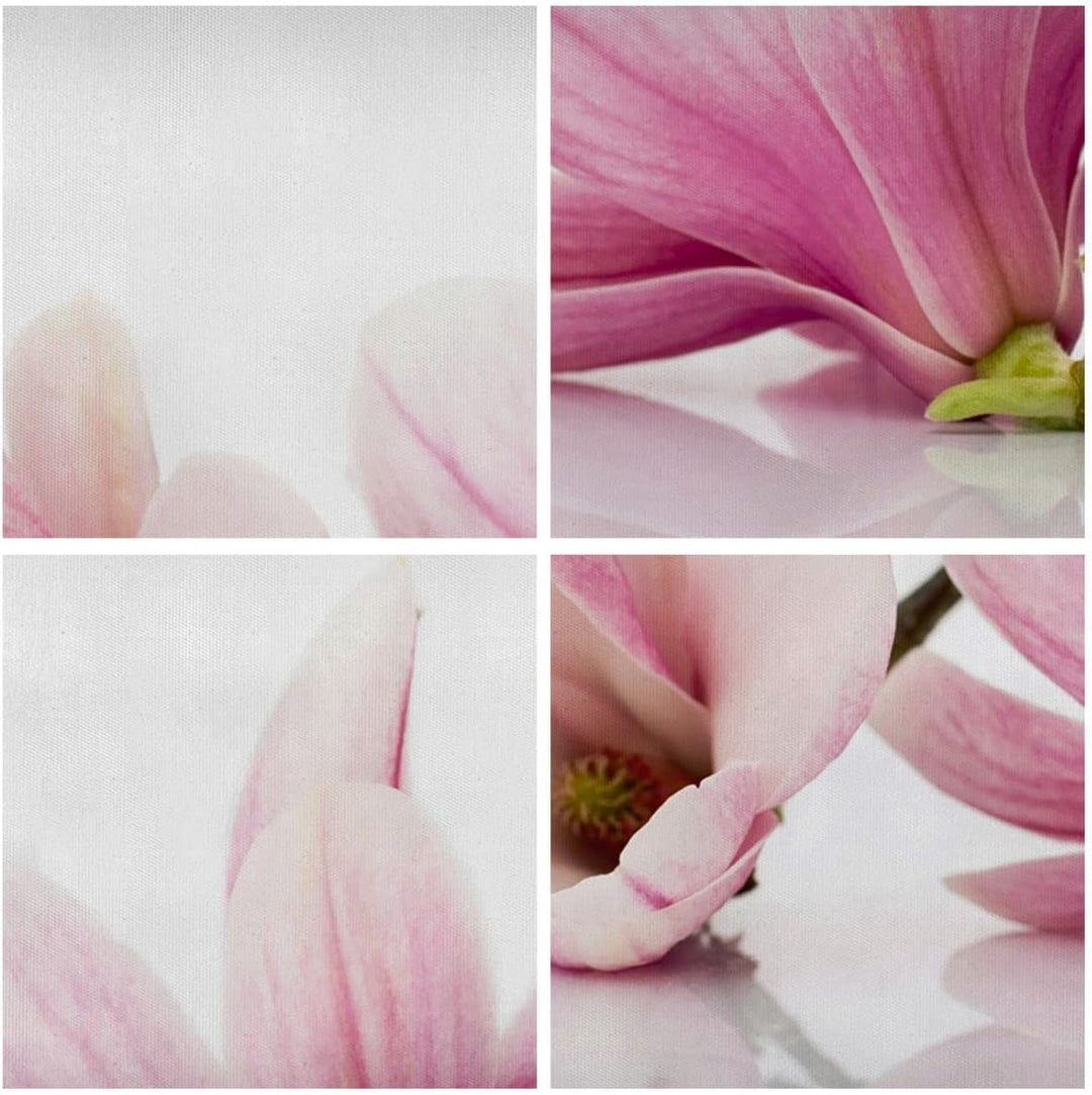 Bilder auf Leinwand Magnolie blume natur pflanze Leinwandbild 70x50cm Wandbilder Dekoration Wohnzimm