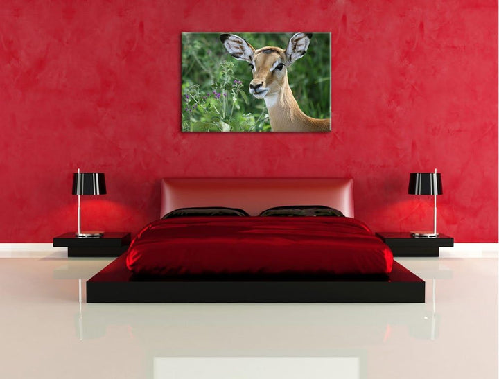 niedliches Reh vor hoher Wiese Leinwand, XXL riesige Bilder fertig gerahmt mit Keilrahmen, Kunstdruc