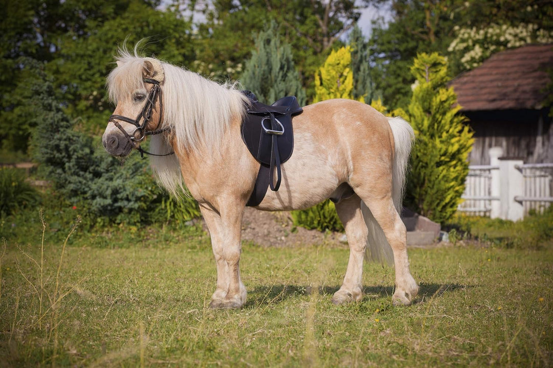 Kerbl Sattelset Economy Pony, Schwarz, 325415 Single, Single