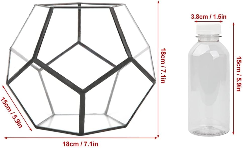 Geometrische Dekorative Terrarium Cube Geneigte Klarglas Pflanzer Tischplatte Schwarz Kleine Air Pla