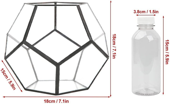 Geometrische Dekorative Terrarium Cube Geneigte Klarglas Pflanzer Tischplatte Schwarz Kleine Air Pla