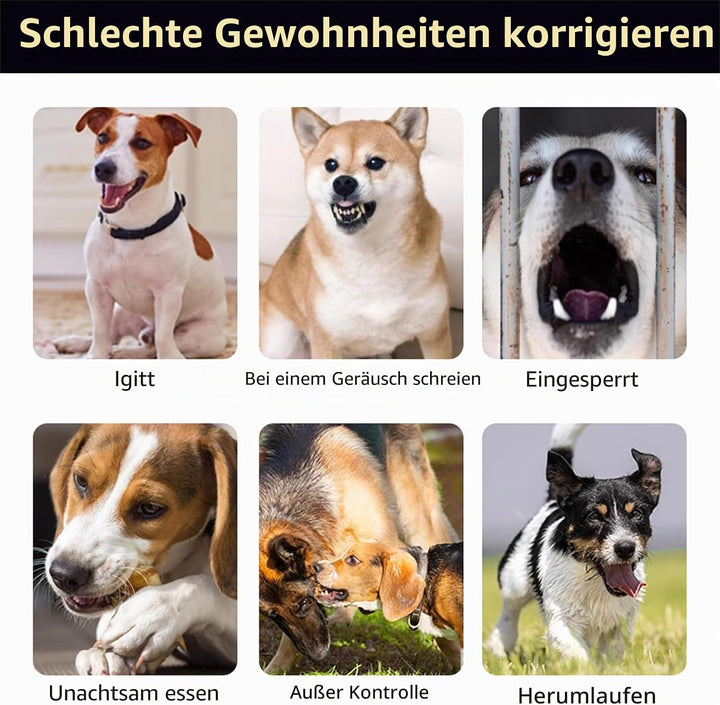 Generisch Trainingsequipment,praktisches und Neuartiges,2025 Neuheit Erziehungshilfen für Hunde,EAgi