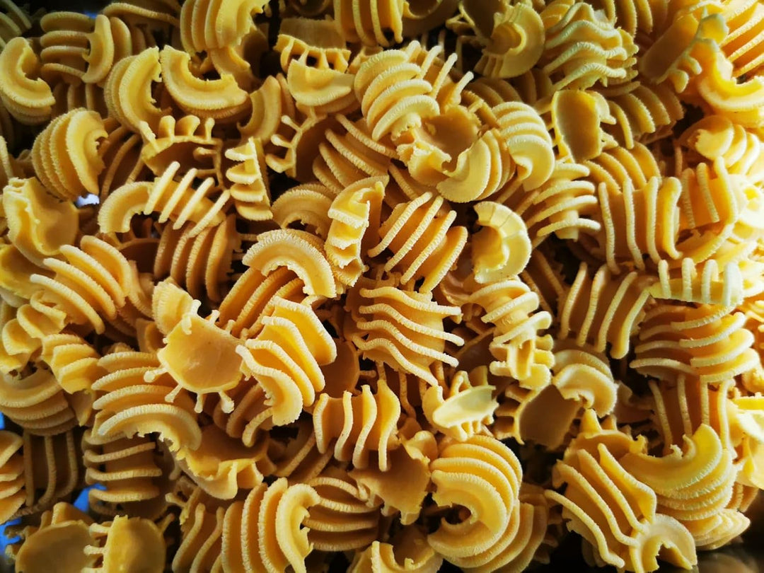 MY PASTA - kleine 3 Radiatore - Pastamaker Matrizen Pastadisc Avance Matrize für hausgemachte Pasta,