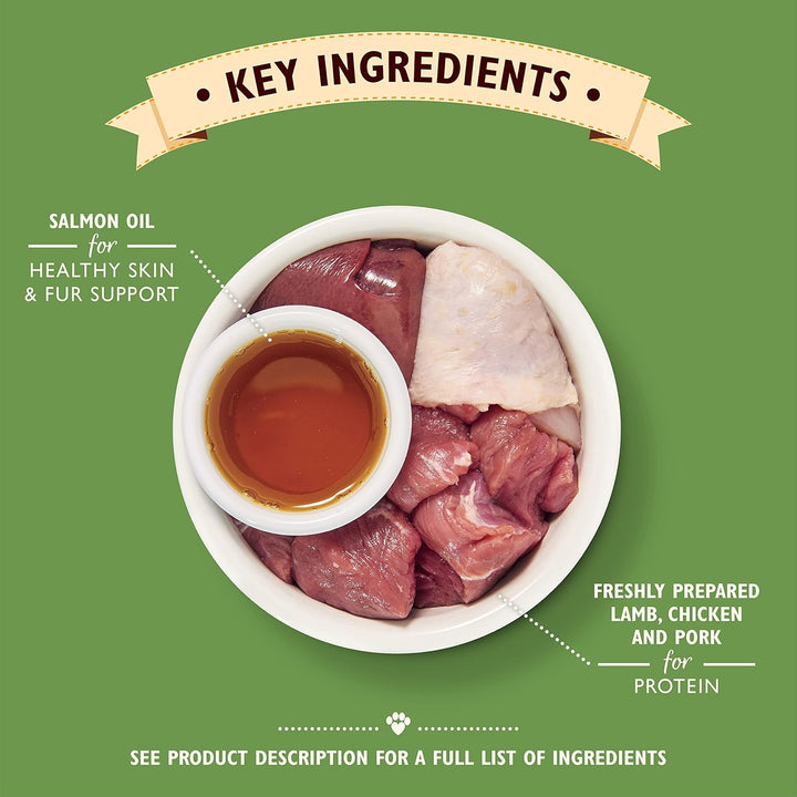 Lily’s Kitchen Premium Nass Katzenfutter für ausgewachsene Katzen 19 Schalen (19 x 85g) Lammfleisch-