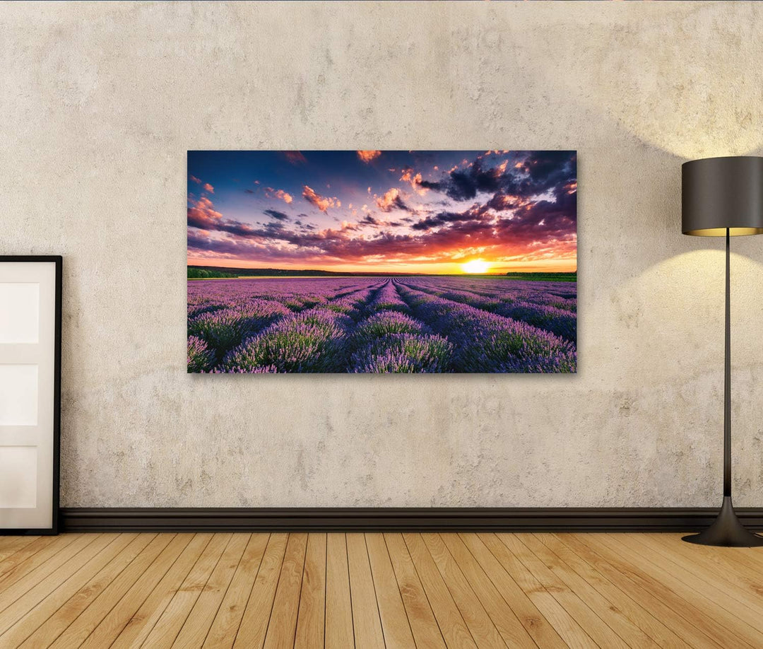 islandburner Bild auf Leinwand Lavendel Blumenfelder In Endlosen Reihen Blühen Sonnenuntergang Bilde