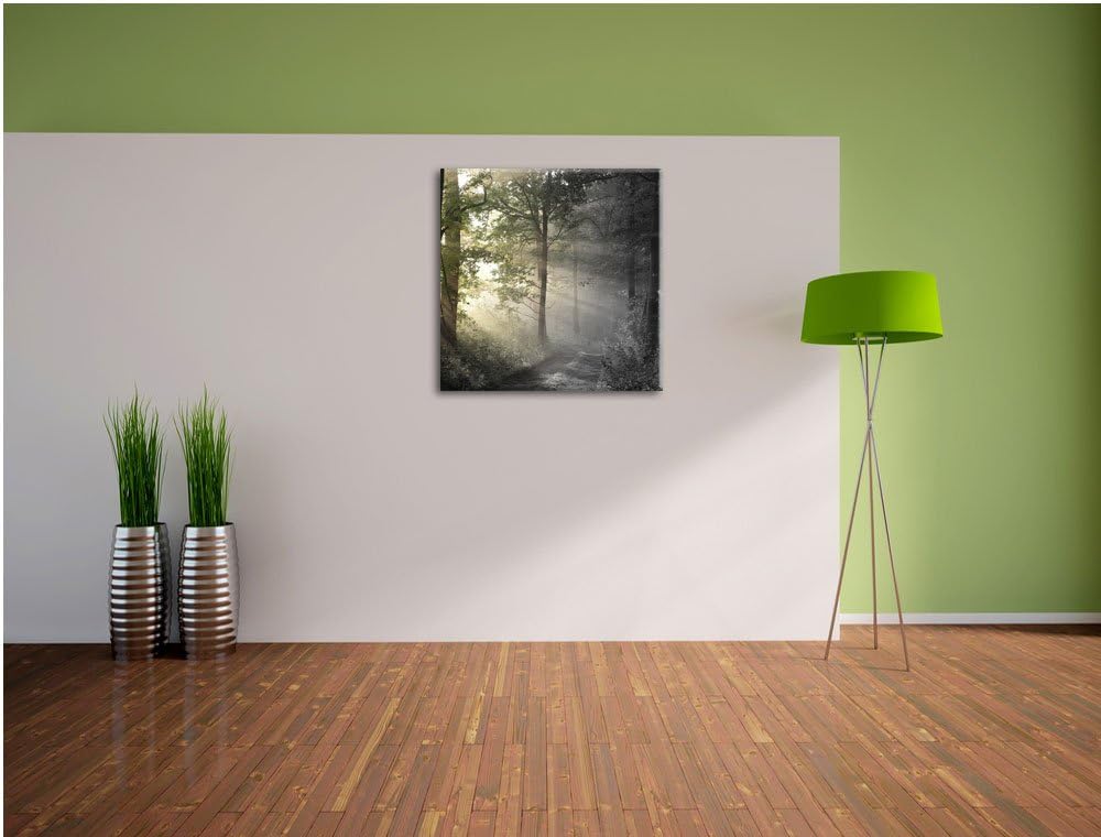 Pixxprint Waldweg im Grünen als Leinwandbild/Grösse: 70x70 cm/Wandbild/Kunstdruck/fertig bespannt, 7