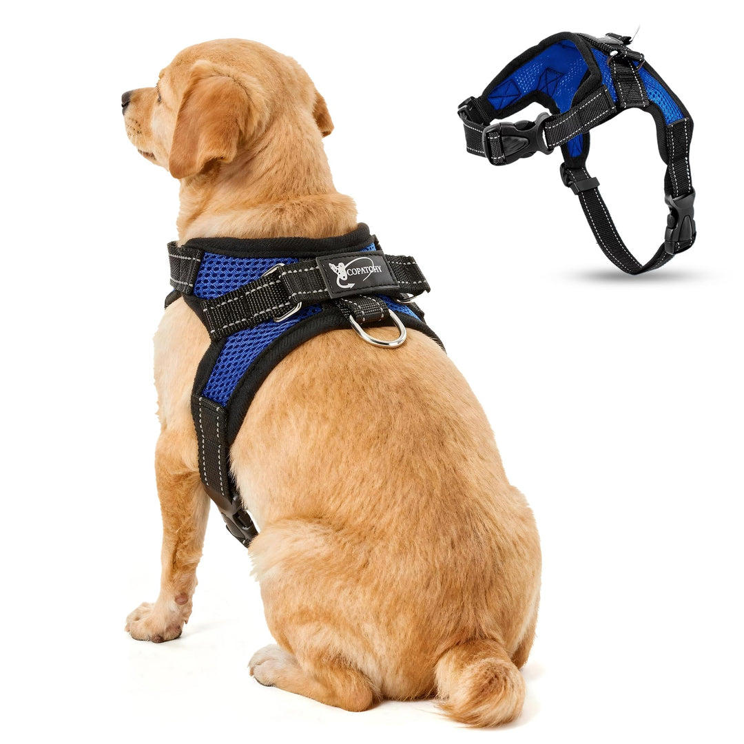Hundegeschirr „Kein Ziehen“, reflektierend, verstellbar, mit Griff, Small, blau Small blau, Small bl