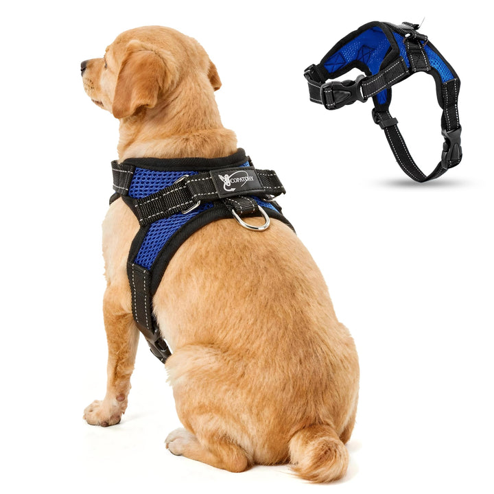 Hundegeschirr „Kein Ziehen“, reflektierend, verstellbar, mit Griff, Small, blau Small blau, Small bl
