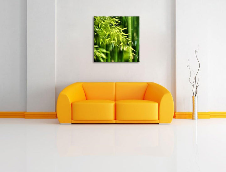 Pixxprint Bambus mit Blättern als Leinwandbild/Grösse: 70x70 cm/Wandbild/Kunstdruck/fertig bespannt,