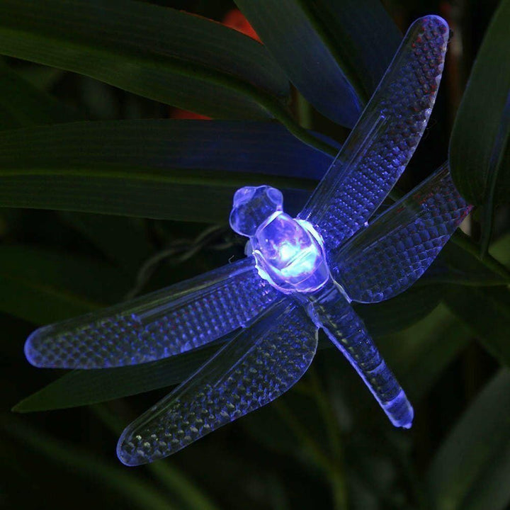 Solar Lichterkette Aussen, 20ft 30 LED Libelle Licht,Wasserdichte lichterkette Dekorative für Garten