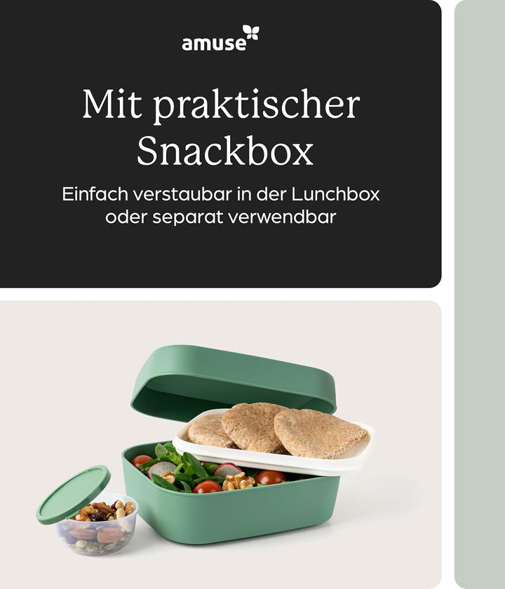 Amuse Lunchbox Erwachsene | Salat To Go Box, Brotdose Erwachsene oder Jausenbox Kinder | Bento Box |