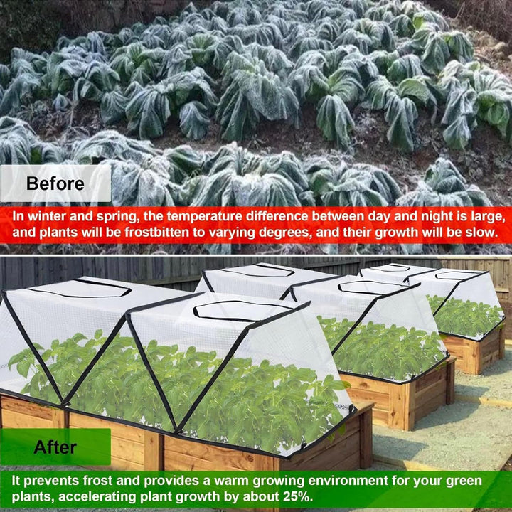 Pflanzenschutz Für Gartenpflanzen - Faltbare Winterfrost Schutzkäfige,Gartenhauben Als Pflanzenschüt