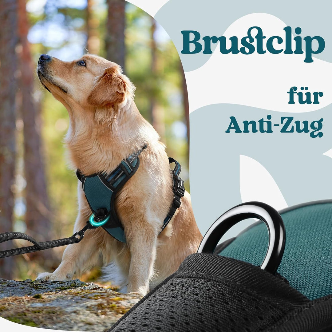 rabbitgoo Hundegeschirr Grosse Hunde, Verstellbare Geschirr Hund ohne Zug &amp; Würgen, Anti Zug hundege