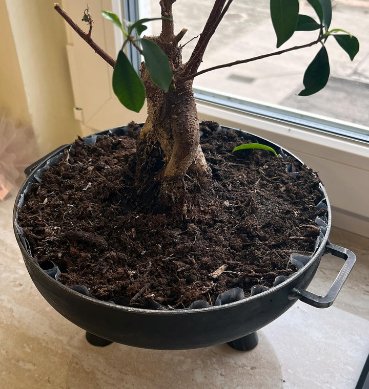Mini Deko Feuerschale Tischfeuer Tischfeuerschale Dekoschale (3er Set), 3er Set