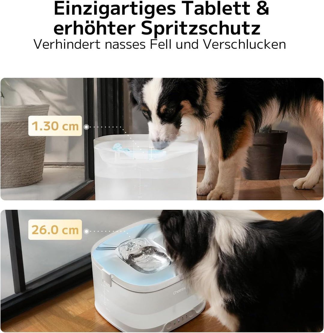 Cheerble D1 Pro Trinkbrunnen für Hunde, kabelloser Wasserspender Hund, pumpenlos mit MagDrive™ Techn