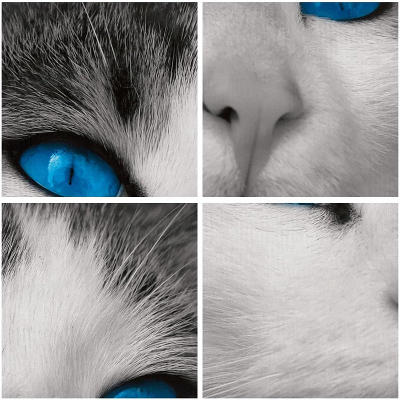 Wandbilder Dekoration Wohnzimmer Katze Tiere blaue Augen Panorama Bilder auf Leinwand 120x50cm Leinw