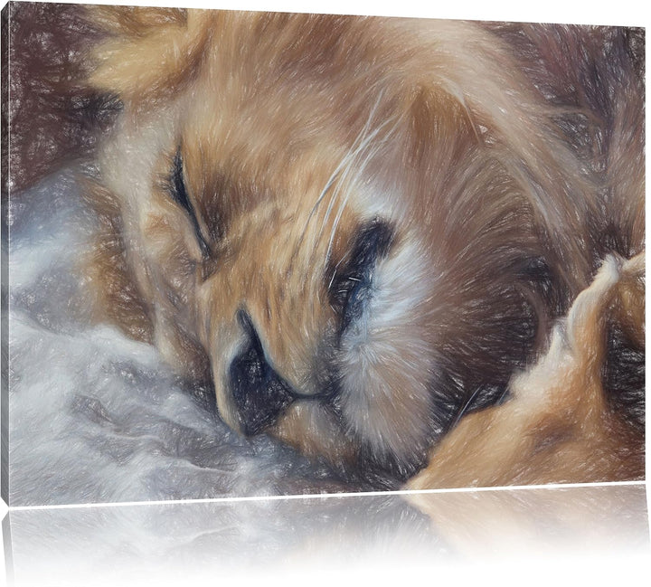 Pixxprint schlafender Löwe als Leinwandbild | Grösse: 100x70 cm | Wandbild | Kunstdruck | fertig bes