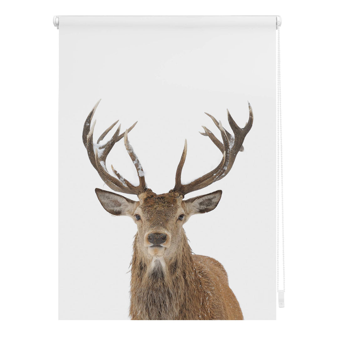 Lichtblick Klemmfix Tageslicht-Rollo mit Motiv, ohne Bohren, Blickdicht, Seitenzugrollo, Made in Ger