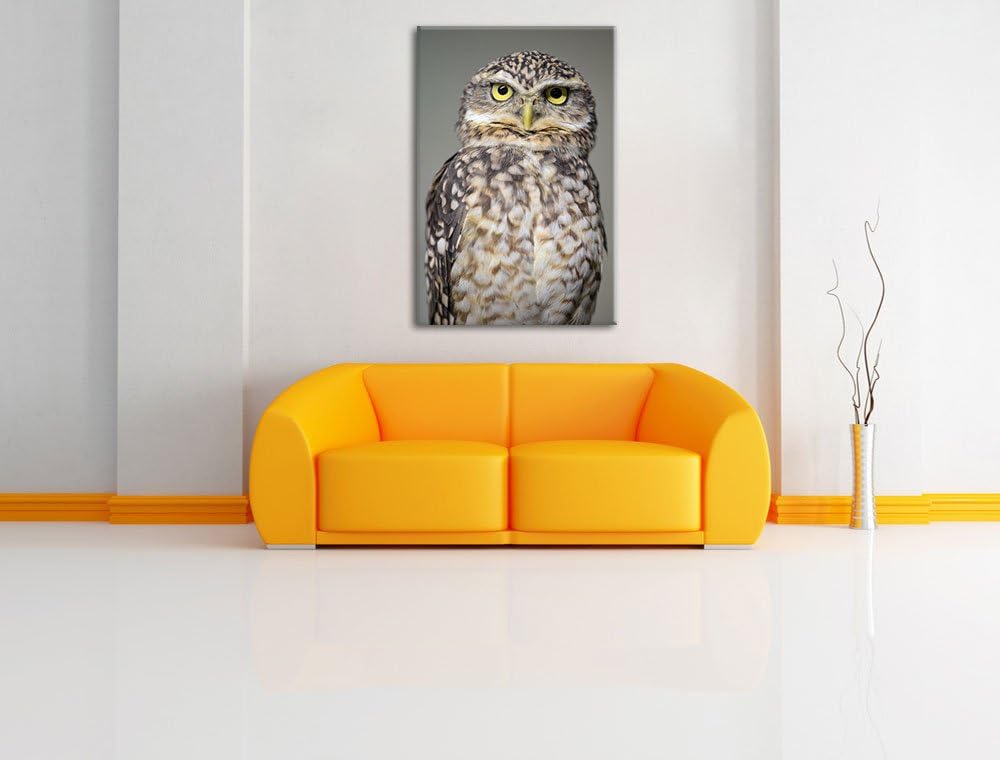 Pixxprint kleine Eule auf Leinwand, XXL riesige Bilder fertig gerahmt mit Keilrahmen, Kunstdruck auf
