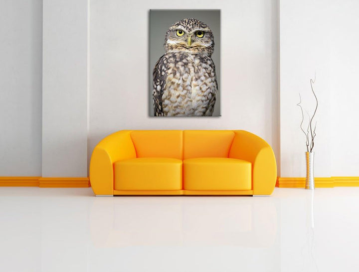 Pixxprint kleine Eule auf Leinwand, XXL riesige Bilder fertig gerahmt mit Keilrahmen, Kunstdruck auf