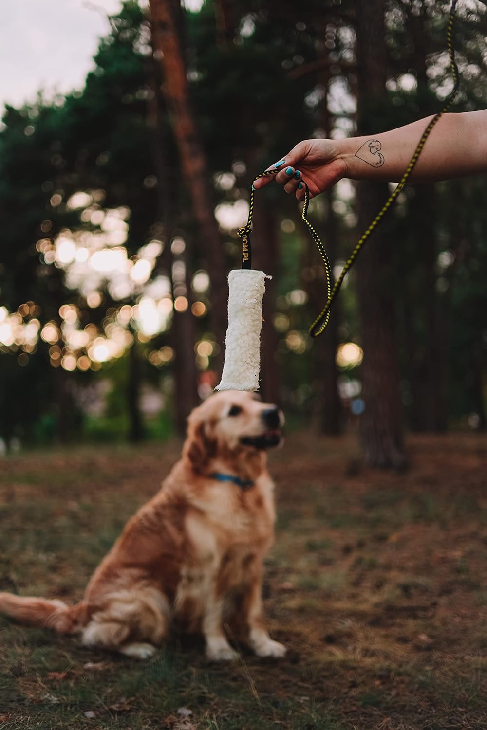 Dingo Angelrute Spielzeug mit Schnur 130 cm und austauschbaren Spitzen Mop Grün+Wolle Quietsche, Mop