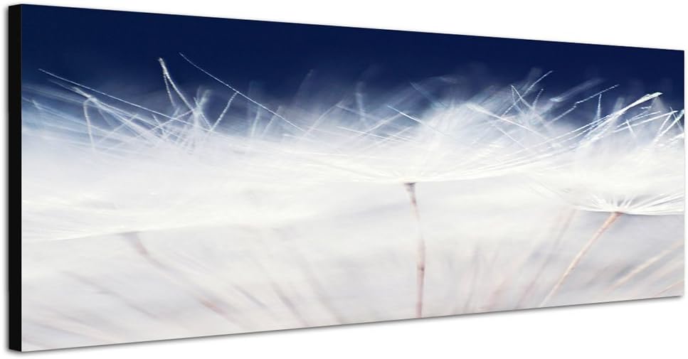 Paul Sinus Art Panoramabild auf Leinwand und Keilrahmen 150x50cm Pusteblume Löwenzahn Grossaufnahme