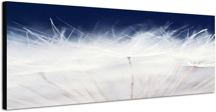 Paul Sinus Art Panoramabild auf Leinwand und Keilrahmen 150x50cm Pusteblume Löwenzahn Grossaufnahme