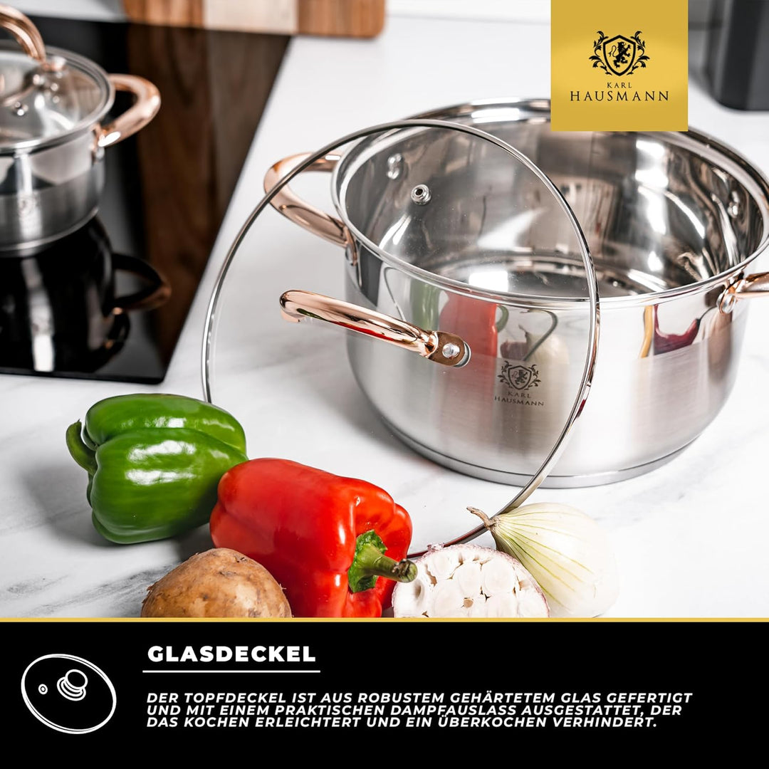KARL HAUSMANN Kochtopf Induktion - 3L - Ø 20 cm - Edelstahl Topf mit Deckel für alle Herdarten Geeig