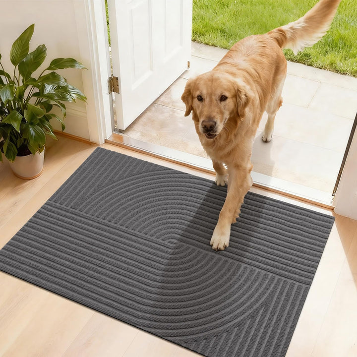 FEOMOS Schmutzfangmatte Innen Aussen 50x80cm, rutschfeste Fussmatte mit Saugkraft, Fussmatte Waschba