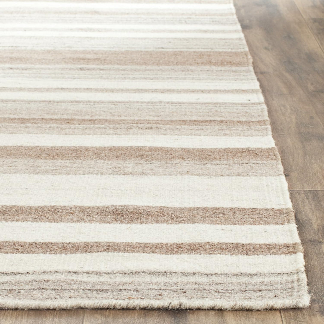 SAFAVIEH Zeitgenössische Teppich für Wohnzimmer, Esszimmer, Schlafzimmer - Dhurrie Collection, Kurze