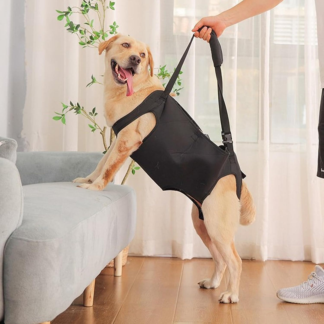 Tragehilfe für Hunde - Verstellbare Gehhilfe, Hebegeschirr für Hinterbeine, Hüftstütze Mit Griffen,