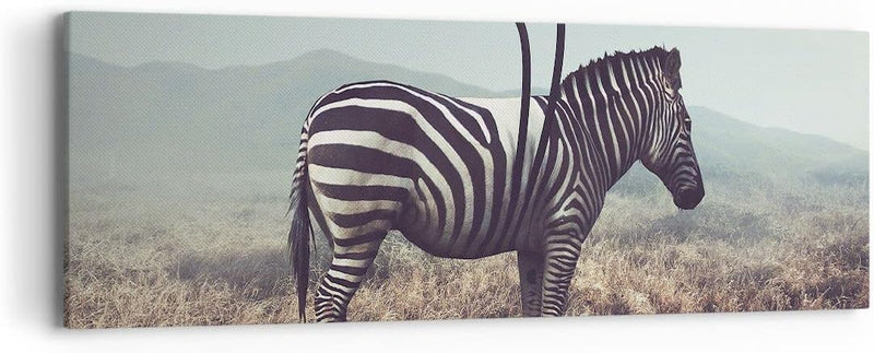 Panorama Bilder auf Leinwand Zebra Tier Wiese Leinwandbild mit Rahmen 90x30cm Wandbilder Dekoration