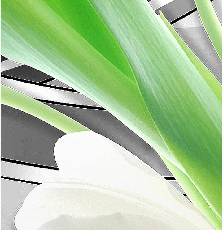 Runa Art Wandbilder Blumen Tulpen 5 Teilig Bild auf Vlies Leinwand Deko Wohnzimmer Diamant Grau Grün