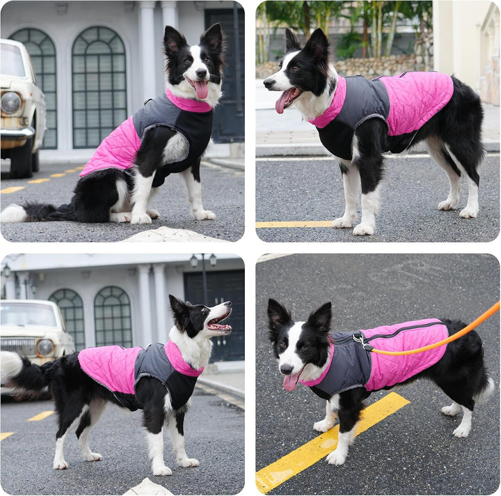 JoyDaog Warme Fleece Hundemäntel für grosse Hunde, D-Ringe wasserdichte Hundejacke für kalten Winter