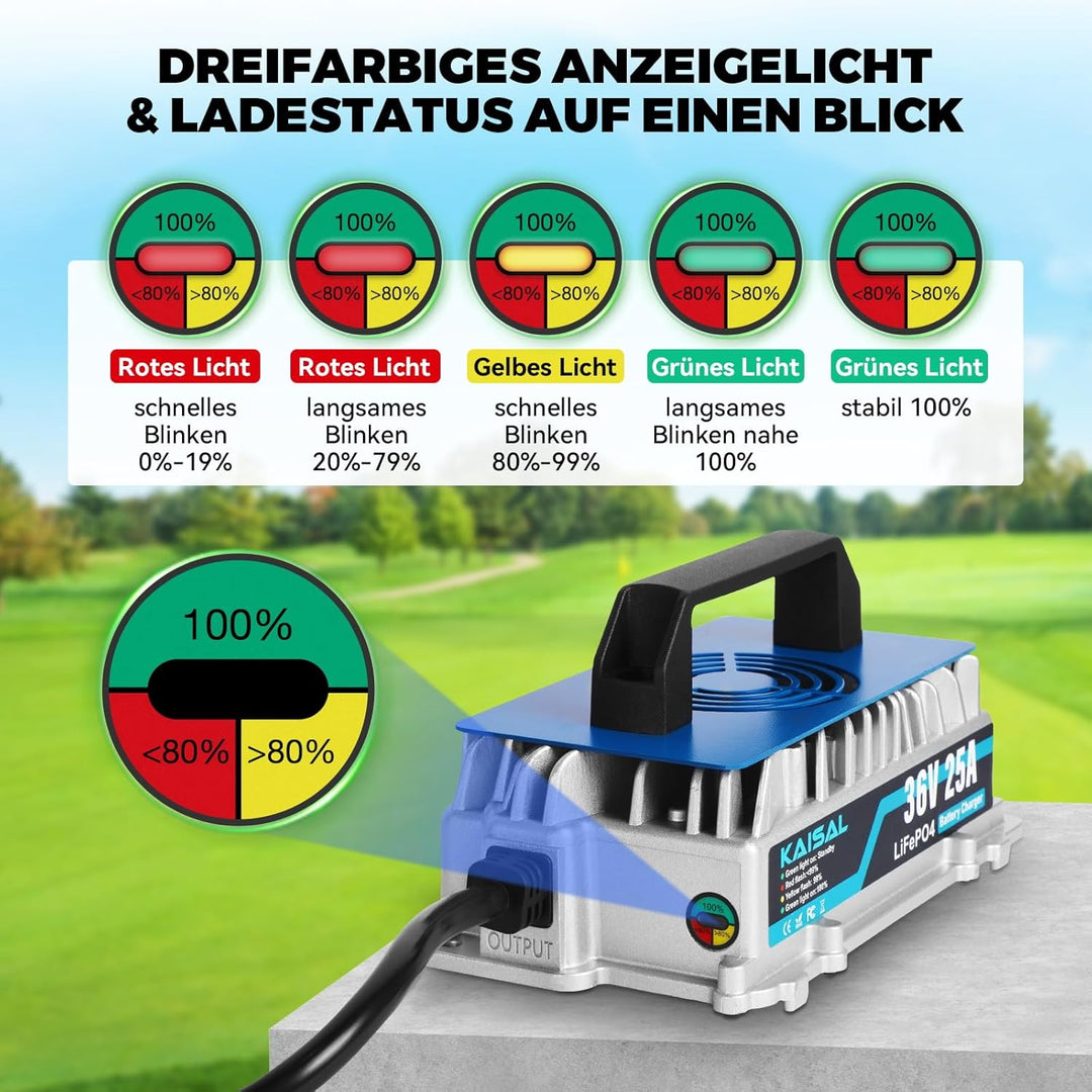 KAISAL 43.8V 25A LiFePO4 Ladegerät für 36V (38.4V) LiFePO4 Lithium-Eisenphosphat-Batterien, 36V Lith