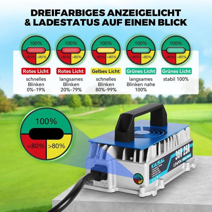 KAISAL 43.8V 25A LiFePO4 Ladegerät für 36V (38.4V) LiFePO4 Lithium-Eisenphosphat-Batterien, 36V Lith