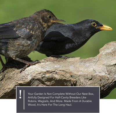 wildtier herz I Amsel Nistkasten aus verschraubtem Massiv-Holz - Wetterfest & Unbehandelt, Vogelhaus