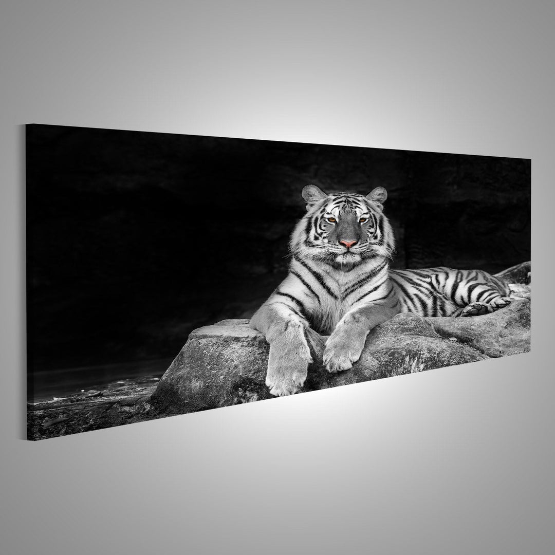 Bild auf Leinwand weisser Tiger Wandbild Poster Leinwandbild 120x40 Panorama, 120x40 Panorama