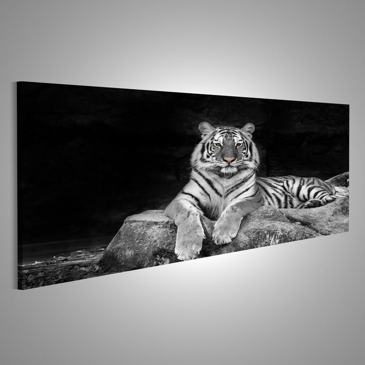 Bild auf Leinwand weisser Tiger Wandbild Poster Leinwandbild 120x40 Panorama, 120x40 Panorama