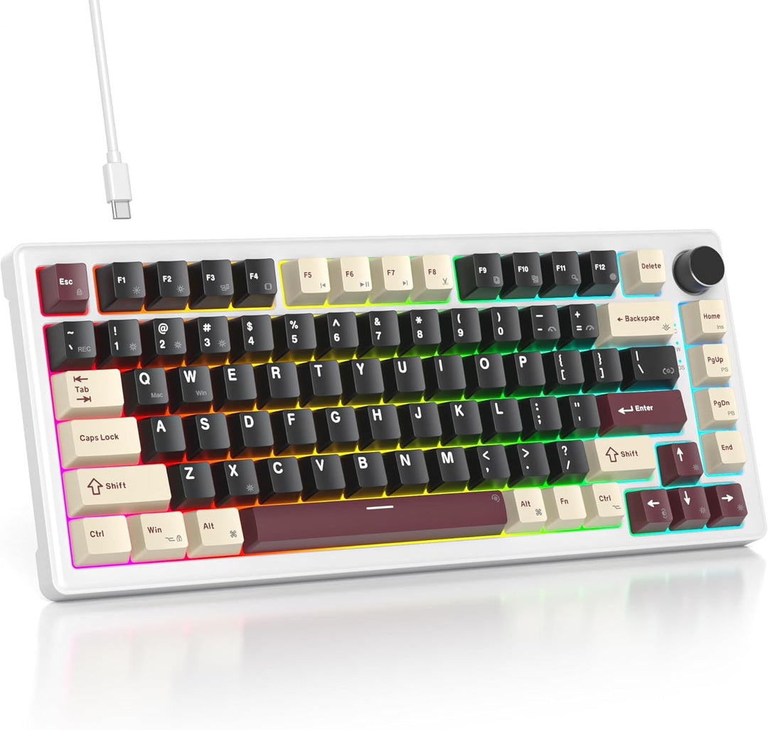 SOLIDEE Verkabelte Mechanische Gaming Tastatur 75 Prozent, Hot-Swap-Fähig Mit Gasket Struktur, RGB H
