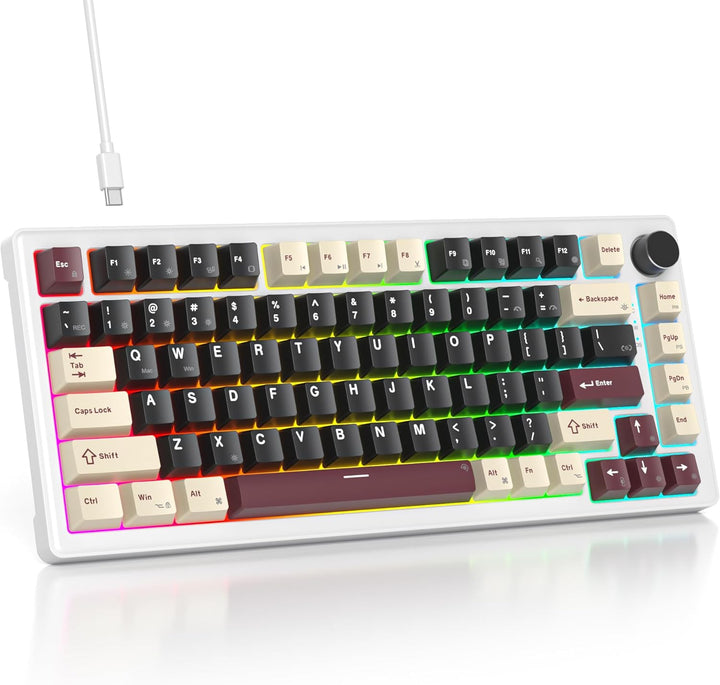 SOLIDEE Verkabelte Mechanische Gaming Tastatur 75 Prozent, Hot-Swap-Fähig Mit Gasket Struktur, RGB H