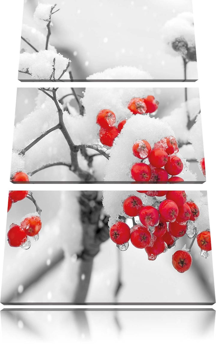 Pixxprint Rote Vogelbeeren im Winter 3-Teiler Leinwandbild 120x80 Bild auf Leinwand