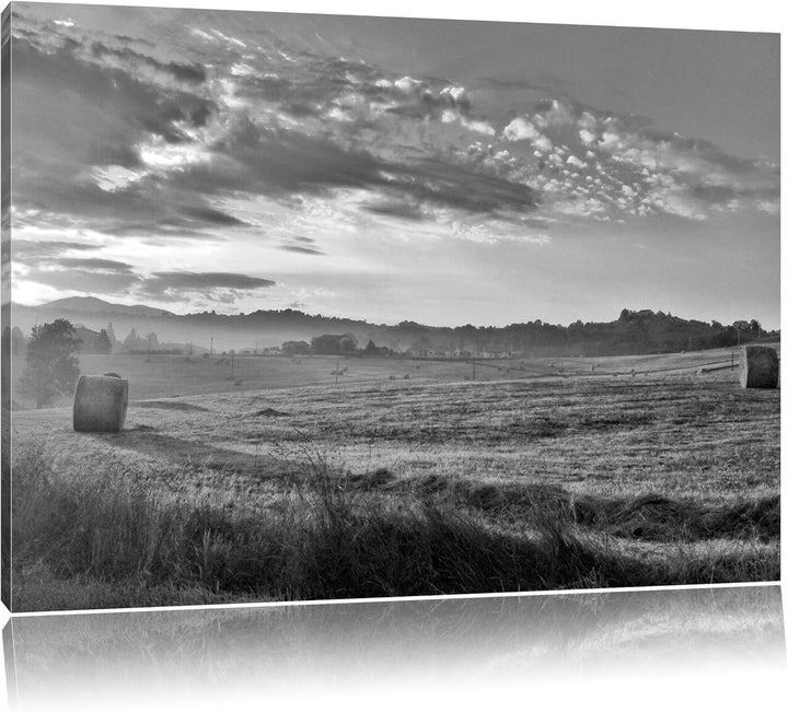 Feld mit Heuballen schwarz/weiss Format: 100x70 auf Leinwand, XXL riesige Bilder fertig gerahmt mit