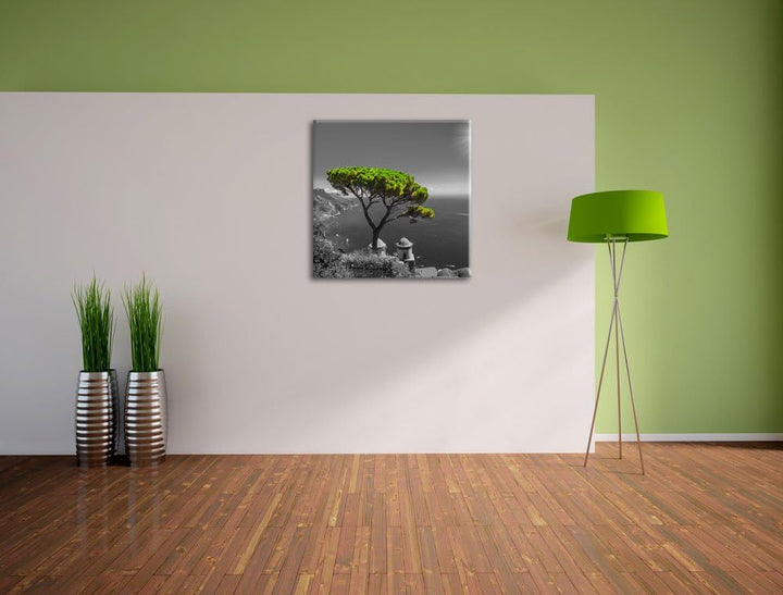Pixxprint Mediteraner Baum am Mittelmeer schwarz/weiss, Format: 70x70 auf Leinwand, 70x70